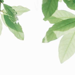 图片区小说区 都市
